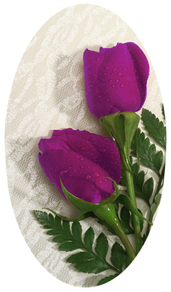 DNSBLUF 053 2 Roses Orchid